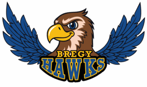 Bregy Hawks Mascot Logo Illustrated Bregy Hawks mascot logo